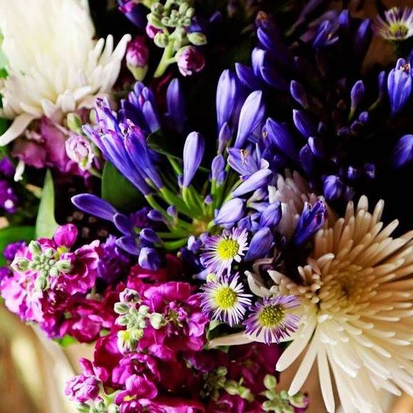 Meet your Posher, Shawna - Picture 1 of 1